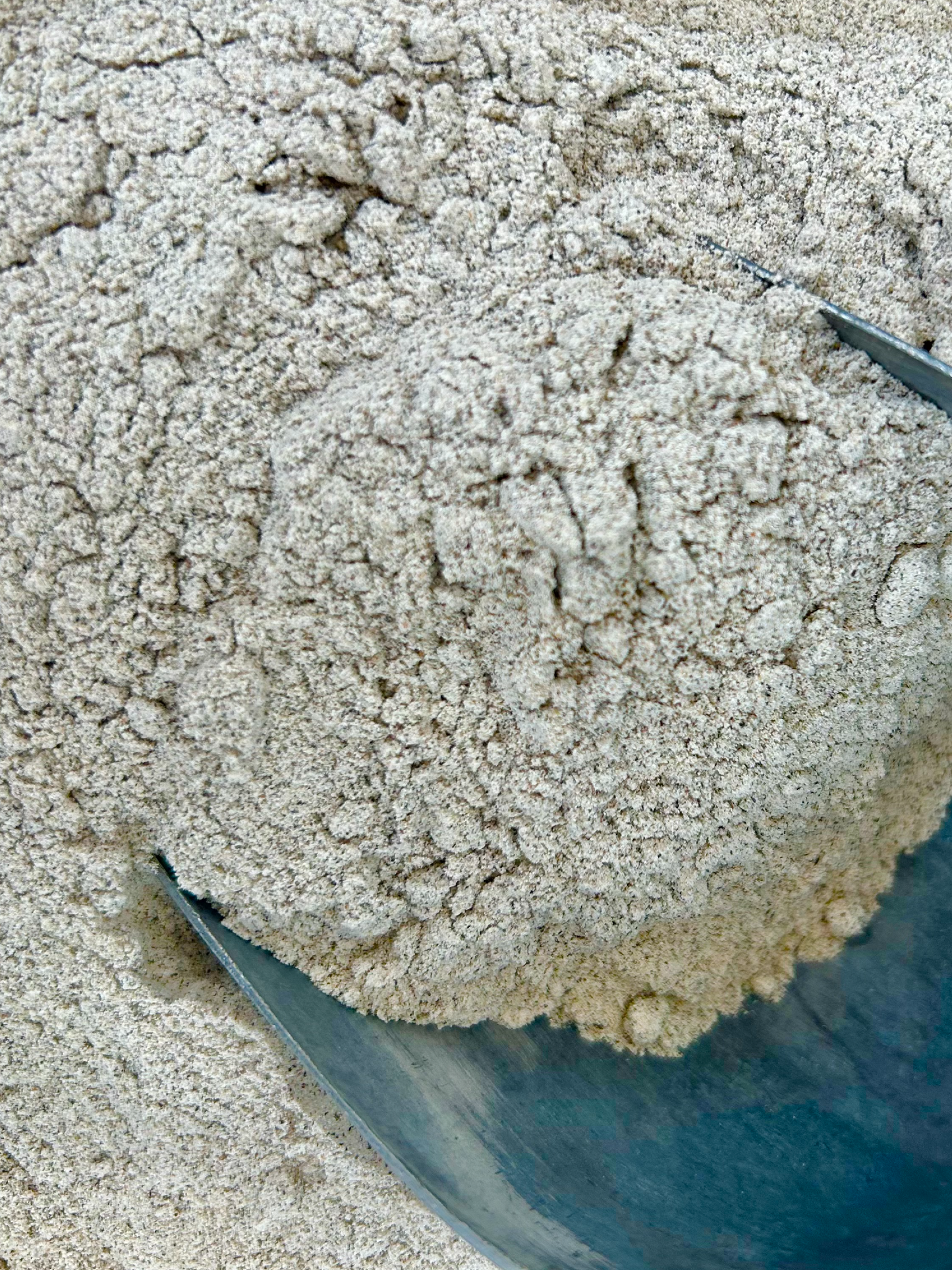 Buckwheat Baguette Flour Blend, from Runner & Stone